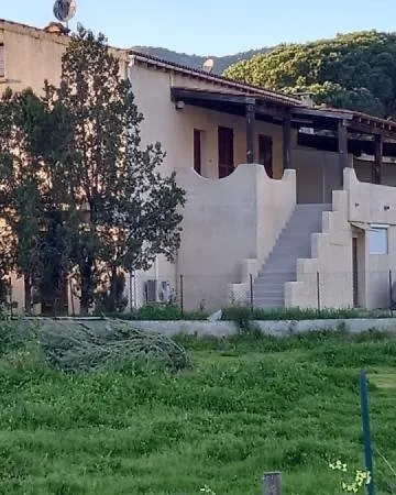Apartment U Palmu *